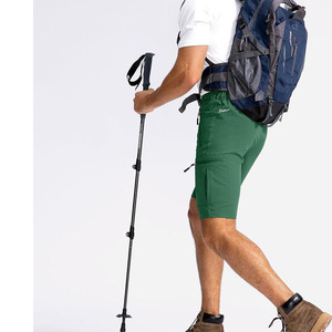 High Quality Product Men's Green Cargo <b>Shorts</b> Quick Dry Elastic Waist Mid Rise Casual Bermuda Style with <b>Zip</b> <b>Pockets</b> - Product Image 2