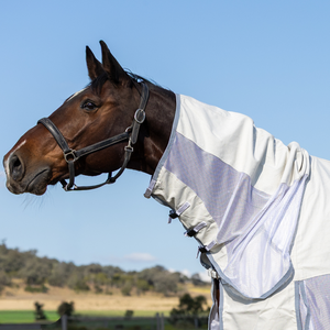 Couverture d'hiver imperméable de haute qualité pour chevaux, modèle standard, personnalisable pour fournisseurs équestres - Product Image 3