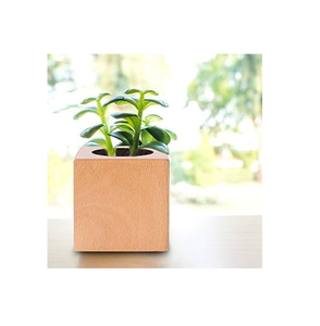 Macetas Decorativas de Madera para Jardín, Tamaños y Colores Personalizados para Centros Comerciales, Hoteles y Hogares - Product Image 2