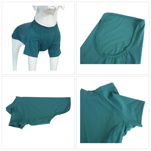 Wholesale Everyday Pet Clothes Blank Cotton Dog <b>T</b> Shirt Custom Logo And Size Pattern Puppy Vest Soft <b>Cat</b> Apparel Plain <b>T</b>-Shirt - Product Image 2