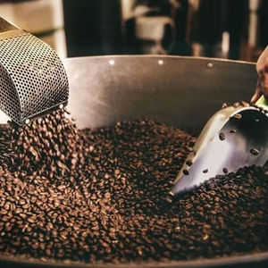 Wholesale High Quality Arabica <b>Coffee</b> <b>Beans</b> Unroasted Natural Process S14 S16 S18 Grade A Vietnam origin bulk supply - Product Image 5