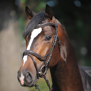 Wholesale Horse Riding Anatomically Shaped Premium Horse Bridle Headstall Contrast Stitching Equine Products Horse Halter Bridle - Product Image 4