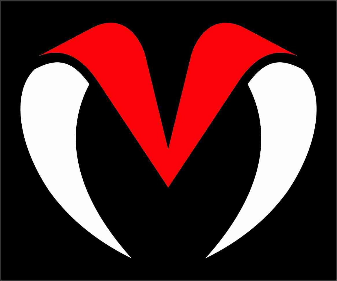 MERITORIOUS INTERNATIONAL logo