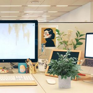 Set di 2 Piante Artificiali in Vaso Grigie, Piccole Piante Finte per Scaffali, Scrivanie, Casa, Fattoria, Tavolini da Caffè - Product Image 5