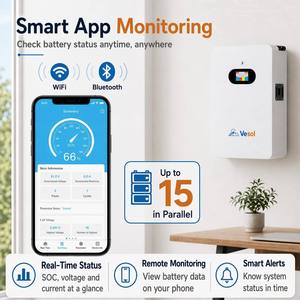 Batterie solaire LiFePO4 murale 5kWh 10kWh 15kWh 16kWh 5kW 51.2V 100Ah 200Ah 300Ah 314Ah Lithium-ion pour une meilleure énergie domestique - Product Image 3