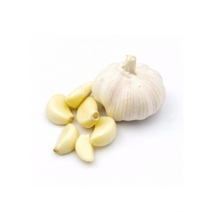 Fournisseur en gros d'ail frais pelé de première qualité à vendre à prix avantageux - Product Image 2