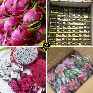 Fruits du dragon frais de qualité supérieure _ Approvisionnement en gros pour les importateurs mondiaux - Product Image 4