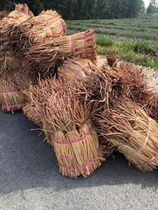 Jacinthe d'eau pour fabrication artisanale de paniers de sac/jacinthe d'eau séchée biodégradable pour sac fait main - Product Image 2