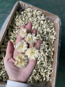 ชาดอกเบญจมาศขาวหอมเวียดนาม ชาดอกไม้แห้งทั้งดอก สำหรับผสมเครื่องดื่ม ดอกตูมแห้ง ขายส่ง - Product Image 6