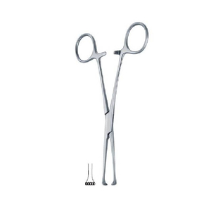 Forceps Allis Professionnel, Forceps Chirurgical Allis, Outil de préhension des tissus avec mécanisme de verrouillage pour usage hospitalier et clinique - Product Image 3