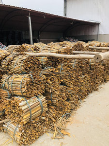 Bâtonnets de cannelle de Cassia séchés de qualité supérieure, épices simples, herbes aromatiques, provenant de l'usine d'exportation du Vietnam, approvisionnement en vrac, meilleure qualité d'usine - Product Image 5