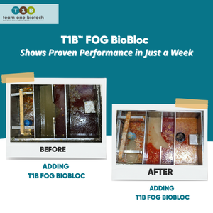 Biological Fog Treatment Bacteria <b>Blocks</b> <b>Plastic</b> Material for Fats Oils Grease Wastewater Degradation in Europe - Product Image 5