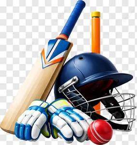 Kit Completo de Seguridad para Jugadores de Cricket para Hombres y Niños con Guantes de Bateo, Protectores de Piernas, Casco, Protector de Muslos, Protector de Brazos y Protección - Product Image 1