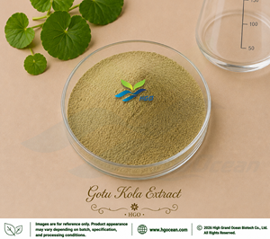 Hgo สารสกัดจาก Centella Asiatica สารสกัดจาก Gotu Kola อัตราส่วนอาหาร20:1 5:1 4:1 10:1 100:1 200:1 - Product Image 1