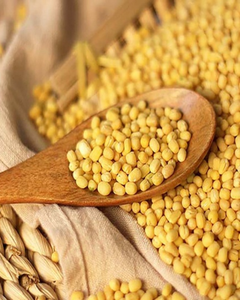 Haricots mungo nettoyés de qualité supérieure – Vert naturel, haute qualité - Product Image 2