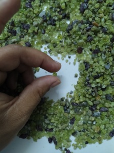 Lote de Peridoto Natural en Bruto 11 - Product Image 3
