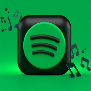 สำหรับบัญชี <span class=keywords><strong>Spotify</strong></span> Premium แบบรายบุคคล สมาชิกฟังเพลง ไม่ใช่การเชิญกลุ่มครอบครัว เติมเงินได้อย่างมั่นคง ใช้ส่วนตัว - Product Image 5