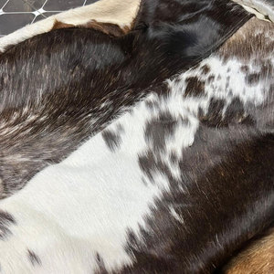 Chaquetas de Invierno 2023, Nueva Colección, Piel de Vacuno Genuina de Primera Calidad, Cuello Alto, Transpirables y Ecológicas - Product Image 4