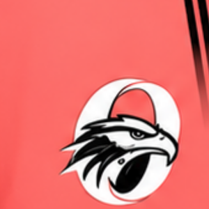 Shorts de rugby rouge corail et noir, taille élastique, respirants, légers, pour l'entraînement d'équipe, performance sportive, bas de tenue de sport - Product Image 6