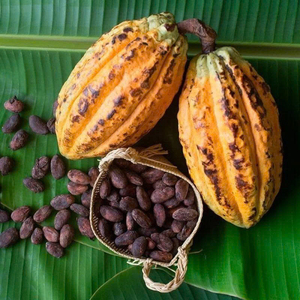 Fèves de cacao de qualité supérieure, commandes en gros, qualité alimentaire, prêtes à être expédiées, fournisseur d'exportation fiable - Product Image 4
