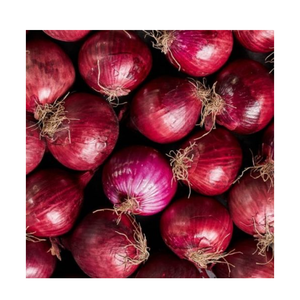 Cebolla Roja de Alta Calidad al por Mayor, Cebolla Roja Madura Fresca de Granja, Suministro a Granel para el Mercado de Exportación - Product Image 3