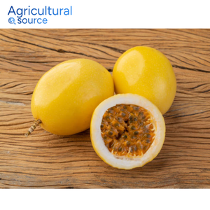 Fruta de la Pasión súper barata, natural y fresca, rica en vitamina C, fruta de la pasión para uso diario, de la fábrica de Vietnam - Product Image 2