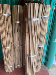 Vietnam Bamboo <b>Pole</b> <b>Garden</b> Stakes Natural Plant Support Sticks <b>for</b> Farming Landscaping and Nursery - Product Image 5