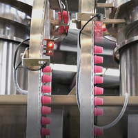 Machine d'emballage horizontale Acepack automatique à bec verseur supérieur pour le remplissage de sachets de café, de jus, de boissons et de liquides