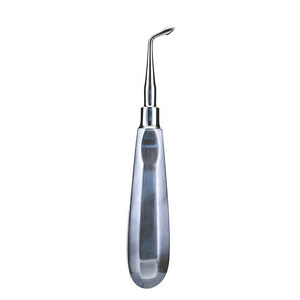 Instrument manuel compact en acier inoxydable avec poignée confortable et finition lisse pour usage professionnel, élévateur de racine - Product Image 1