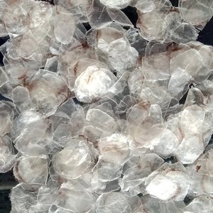 Nouveauté 2026 Écailles de poisson de qualité supérieure Fournisseur Vietnamien - Product Image 1