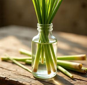 Hydrolat de citronnelle 100% pur - Liquide naturel distillé à la vapeur, respectueux de l'environnement, pour la santé et les soins de la peau - Product Image 5