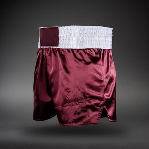 Shorts MMA de haute qualité, shorts de Muay Thai, shorts de boxe, plusieurs styles disponibles - Product Image 3