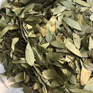 Hoja de Laurel - Calidad Premium, Grado Alimenticio - Product Image 3