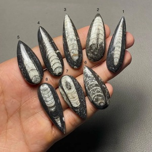 Orthoceras naturel pierre précieuse en vrac fabrication de bijoux Cabochon pierre parfaite pour pendentif - Product Image 1