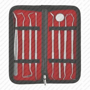 Ensemble d'outils d'hygiène dentaire de qualité supérieure, 8 pièces, grattoir à dents, cure-dent, nettoyeur de fil dentaire, instruments de soins bucco-dentaires, CE ISO - Product Image 4