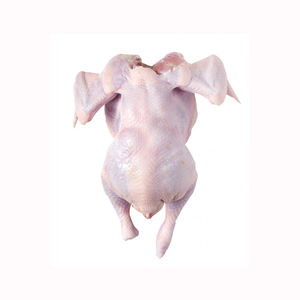 Poulet surgelé de haute qualité, prix de gros abordable, provenant de Chine, halal, poulet entier et morceaux de poulet surgelés. - Product Image 1