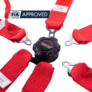 Ceinture de sécurité de course Track Spec homologuée FIA 8853 2016 TBRACING OEM ODM Marque privée Vente en gros Boucle à retour rapide - Product Image 4