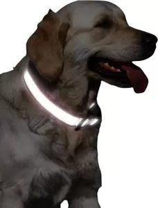 Collar Reflectante Impermeable para Perro 3M, OEM ODM, Logotipo Personalizado, Collar Ajustable de PVC para Mascotas, Fabricante Directo - Product Image 3
