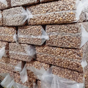 Vietnam Binh Phuoc Organic Natural Roasted Dried Cashews-Premium Quality Kernels Crunchy Nutritious Food Bulk Wholesale Private - Product Image 1