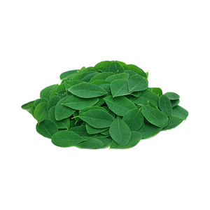 Extrait de feuilles de Moringa de qualité alimentaire supérieure, extrait végétal au CO2, cire en conserve avec vitamines - Product Image 1