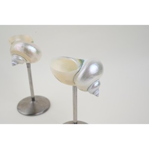 Verre à vin classique en coquillage marin et métal avec une touche artistique moderne rehausse instantanément la présentation de la table. - Product Image 4