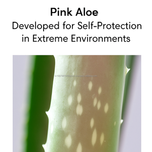 Gel Hidratante y Calmante K Beauty con Aloe Vera Vegano, Azuleno, Xilitol y Pantenol para una Piel Radiante OEM - Product Image 5