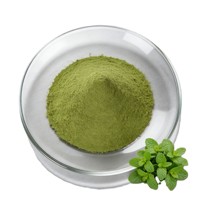 Poudre de menthe 100 % naturelle de qualité export, pure, de qualité cosmétique, pour une sensation rafraîchissante et apaisante sur la peau