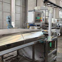 Machine à fabriquer des pépites de chocolat GUSU grande capacité, déposeuse de pépites de chocolat