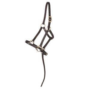 Adjustable Horse Riding Equipment <b>Halter</b> for Horse Bridle New Top Quality Horse Bridle Made of Genuine Leather OEM Welcome - Product Image 1