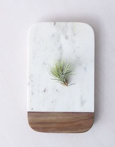 Tabla de Cortar Redonda de Madera Natural Shama, 1.5 cm de Grosor, Apta para Lavavajillas - Product Image 1