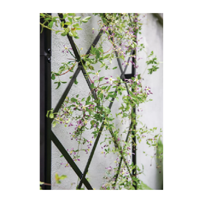 Enrejado de pared con techo a dos aguas - Product Image 4