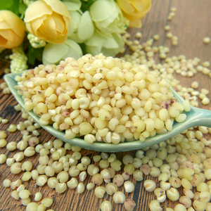 ข้าวฟ่างคุณภาพพรีเมียม ขายส่งจำนวนมาก เกรดอาหาร พร้อมส่งออก จำหน่ายสำหรับการส่งออก - Product Image 1