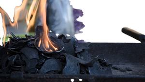 Polvo de carbón activado de cáscara de coco al mejor precio para quemar grandes cantidades polvo de carbón de coco Premium - Product Image 2