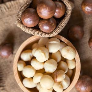 Nueces de Macadamia Deliciosas y Saludables al Por Mayor, en Concha, Empaquetado a Granel, Más Vendidas - Product Image 6